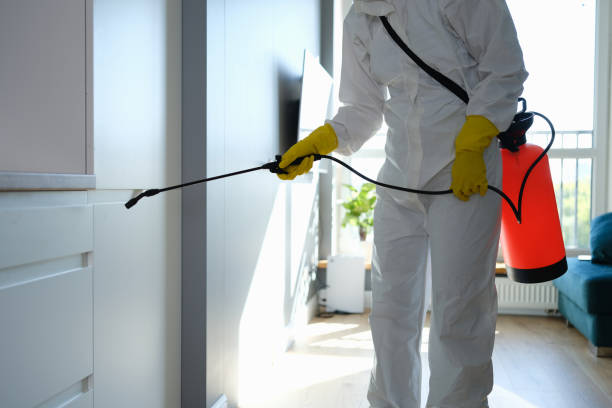Best Commercial Mold Remediation in Arlington Heights, IL